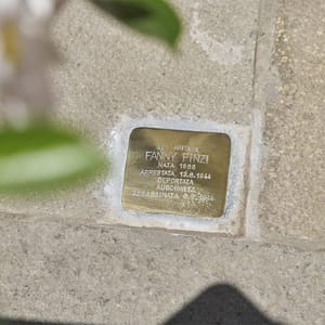 Socialwall Hotel Ala 03